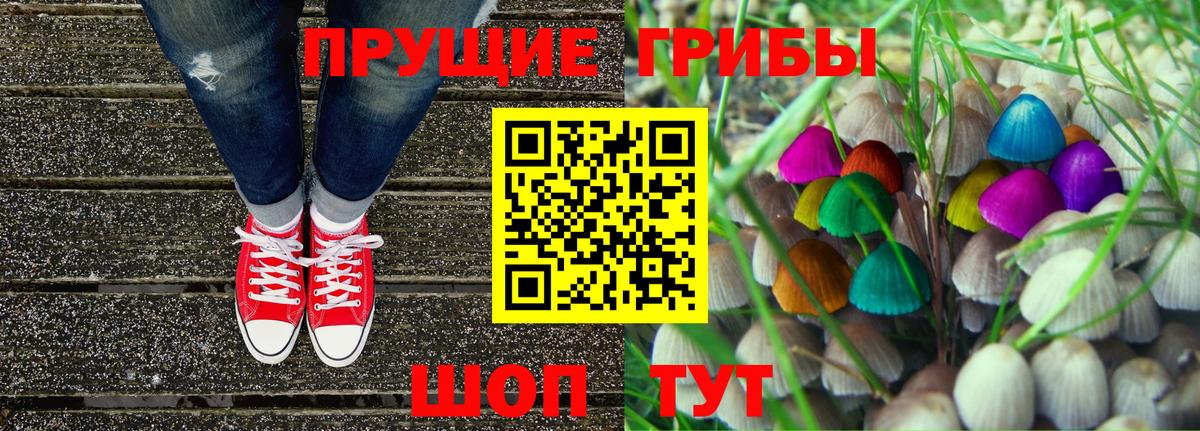 закладки  Псилоцибиновые грибы Psilocybe  Вход с VPN  Ачинск 