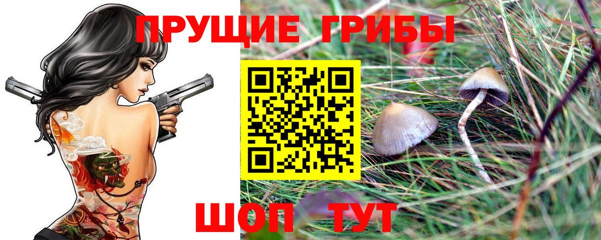 Галлюциногенные грибы ЛСД Ачинск